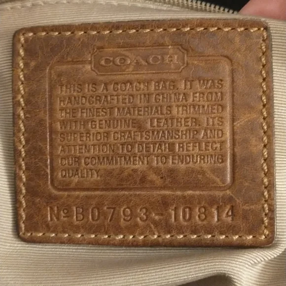 Coach Carly - Picture 6 of 6